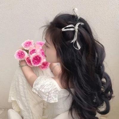 大耳查布
